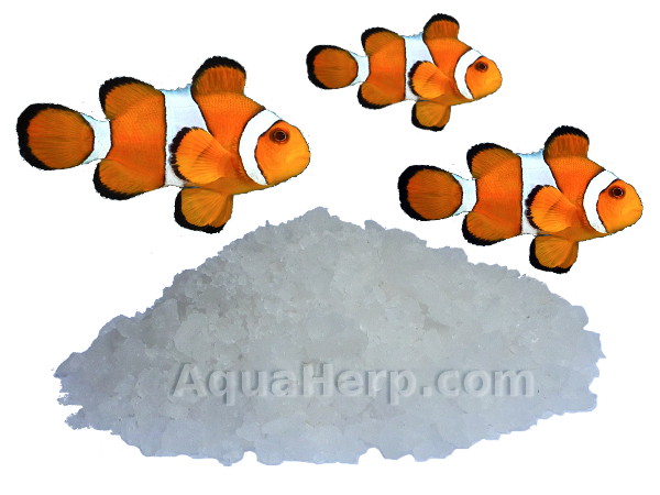 Magnesium Sulfate (MgSO4) / 1kg