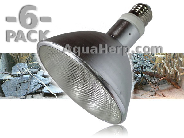 Reptile Desert Flood 70W E27 Metal Halide Bulb / 6-PACK
