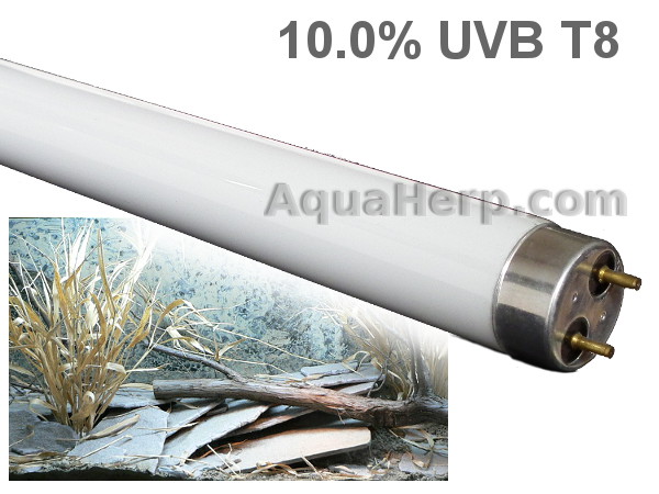 T8 Reptile Light 10.0% UVB 15W